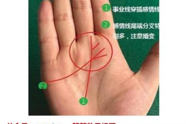 金星带手相：你是否具备强烈的吸引力和幸福潜力？