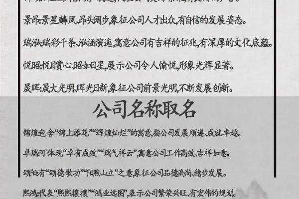 专业起名网如何为公司提供创意名称