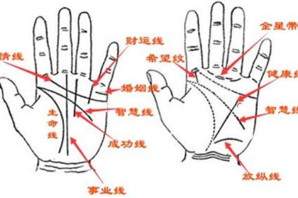 探索大拇指指纹手相背后的秘密与含义