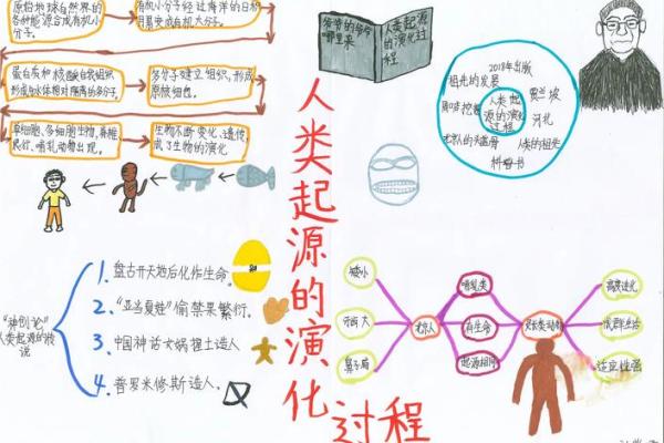 探索五行数字与命运的深层关系