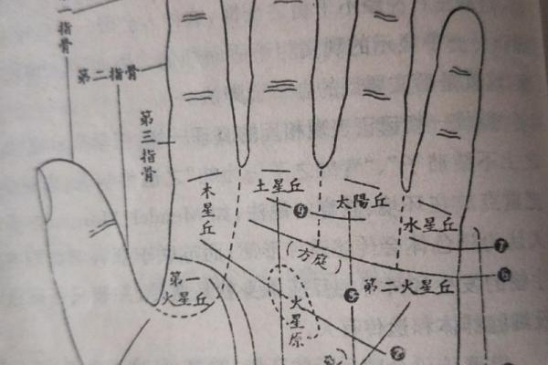手相学揭秘：通过掌纹了解结婚的最佳时机