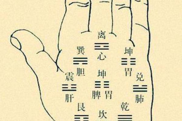 面相手相是否能准确预测命运解析