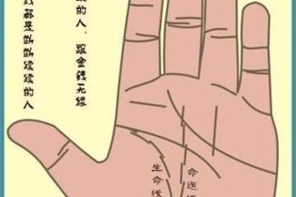 面相手相是否能准确预测命运解析