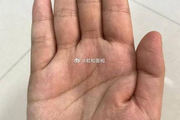 金星带手相的秘密解析：揭示你内心的情感与人际魅力