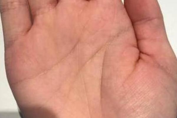 金星带手相的秘密解析：揭示你内心的情感与人际魅力