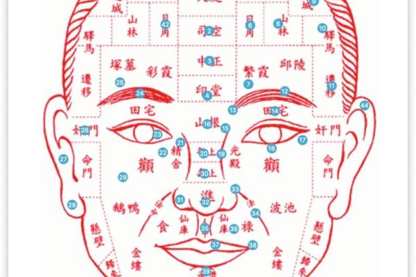 探讨是非痣相的秘密：痣的位置透露你的性格与命运