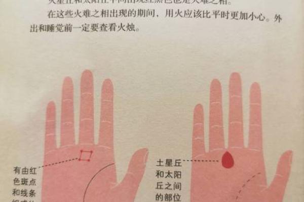 手相和面相，哪种更能预测未来