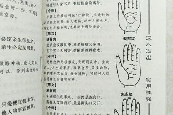 手相和面相，哪种更能预测未来