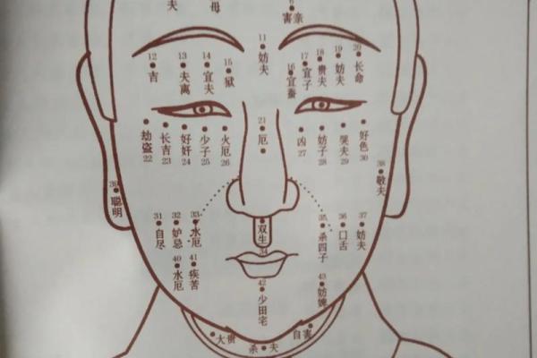 麻衣神相手相：揭秘古代术士如何通过手相预测未来