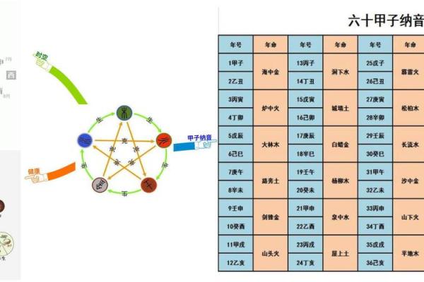 桐字的五行属性及其在命理中的意义解析