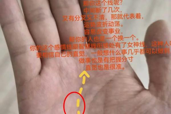 如何选择准确的手相大师帮你解读未来