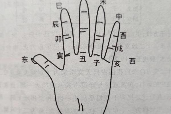 十二地支与中国文化的深刻联系：探索天干地支的奥秘