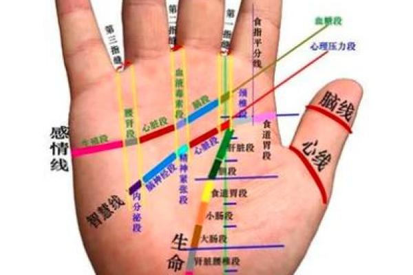 揭开手相背后的秘密，如何通过掌纹看出未来走势