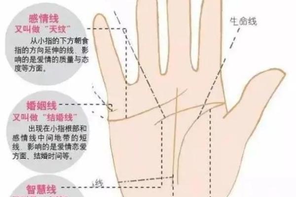 女人手相感情线深浅解析：你的爱情故事藏在掌纹中
