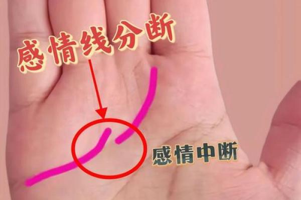 女人手相感情线深浅解析：你的爱情故事藏在掌纹中