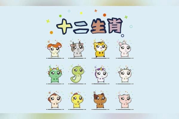 探索十二地支拼音背后的文化意义