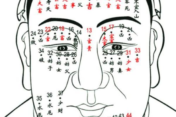 不同痣相类型及其对应的命运解析