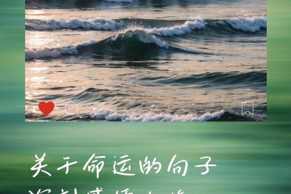 命理约言：揭示命运与选择的深刻关系