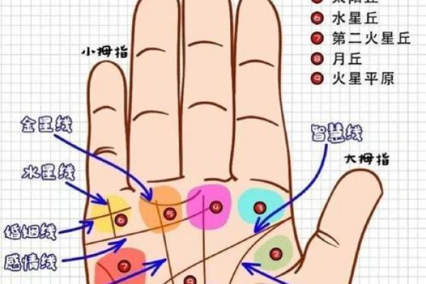 手相解密：通过掌纹探索你的未来与命运