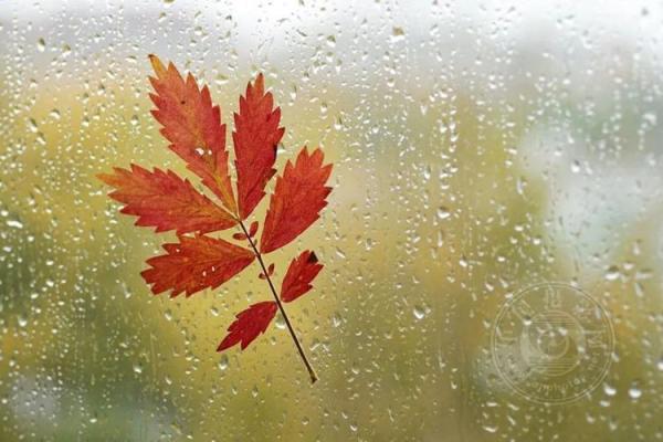 梦中的雨水象征什么？了解下雨梦的心理解码