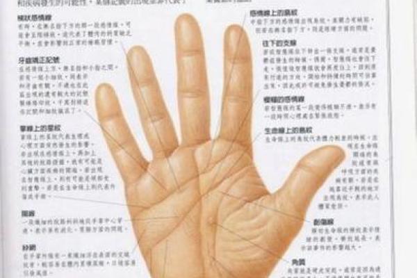 手相健康图：从手掌线条看身体问题