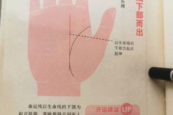 探索免费手相算命：揭开你命运的神秘面纱