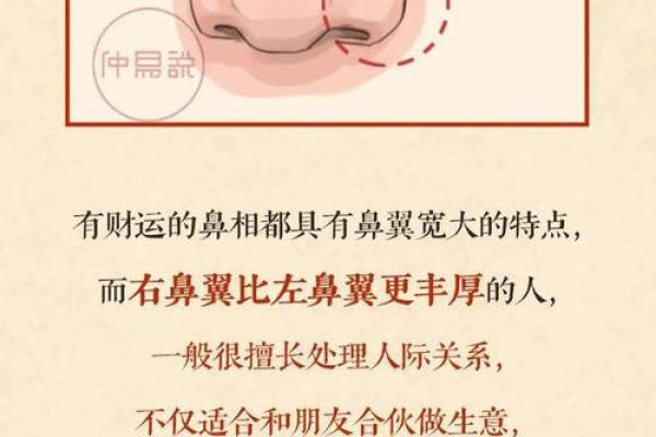 肉鼻子面相解析与运势影响