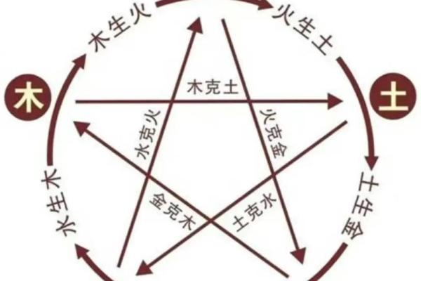 棠字五行属性分析及其在命理中的作用