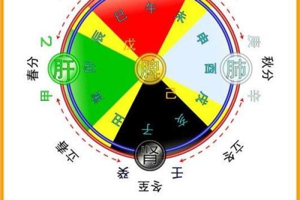 棠字五行属性分析及其在命理中的作用