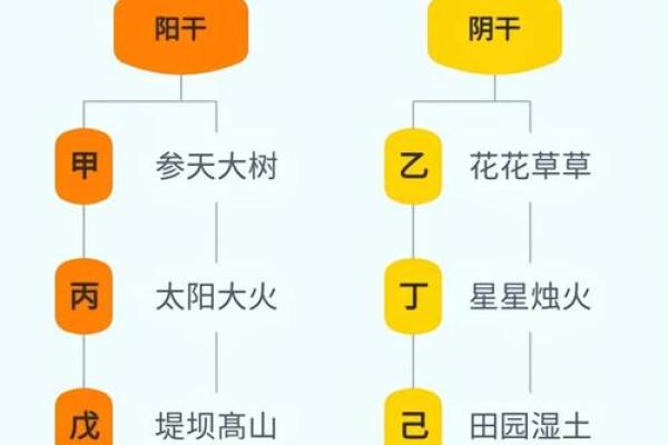 十大天干的起源与文化意义