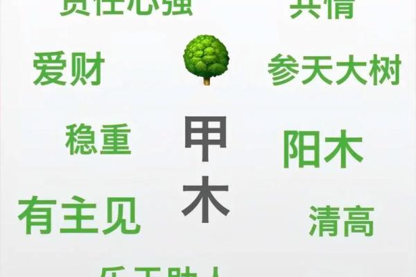 十大天干的起源与文化意义