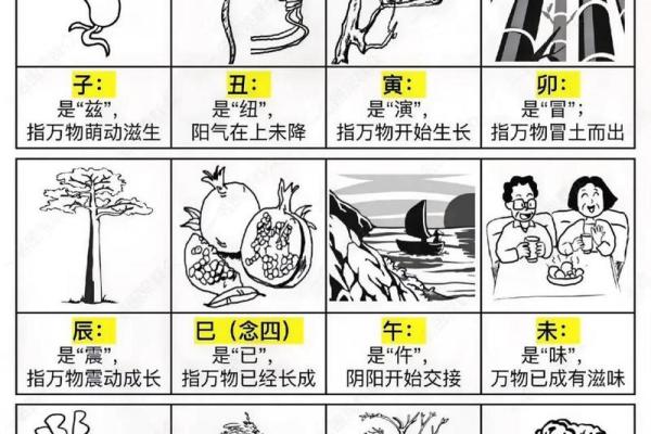 十二地支与五行的神秘关联解析