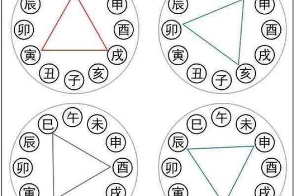 十二地支与五行的神秘关联解析