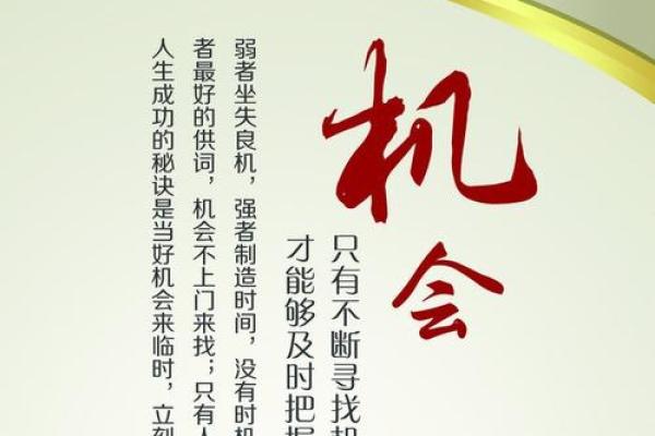 命理新论：如何理解个人命运中的选择与机遇