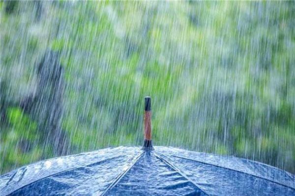 梦见下雨：是否暗示着即将到来的情感转折