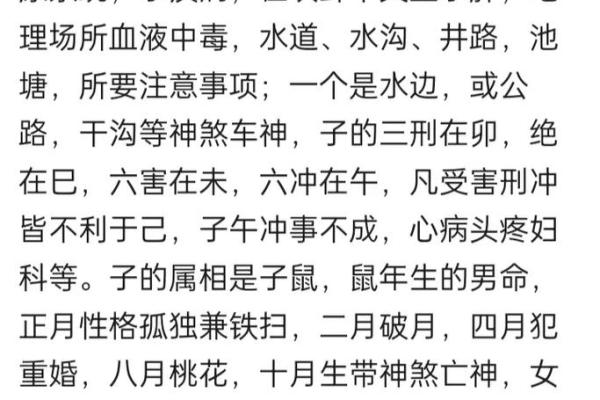 十二地支类象与人生命运的深刻关联解析