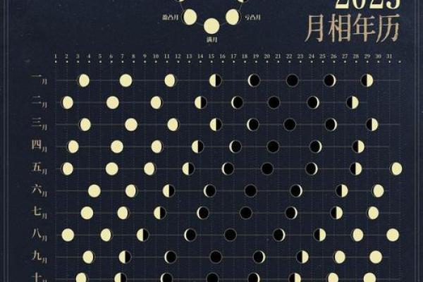 命理学入门：从基础知识到命盘分析的全方位指南