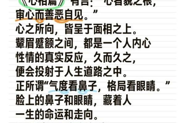 字脸面相分析：揭示你内心世界的秘密