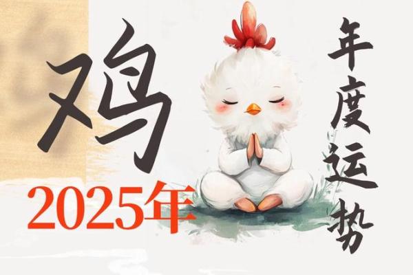 如何为生肖鸡男宝宝取名 让名字寓意更吉祥