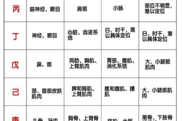 探索天干地支对性格与命运的影响