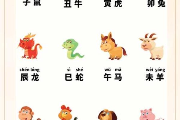 十二地支与十二生肖的深厚联系及其文化意义