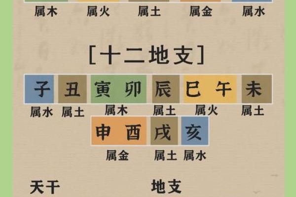命理纵横：如何通过五行解读个人命运