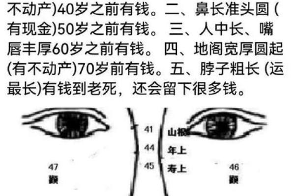 通过在线测面相了解自己的人生轨迹