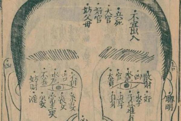 通过在线测面相了解自己的人生轨迹