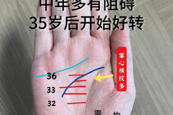 手相能预测人生吗？深入了解与分析