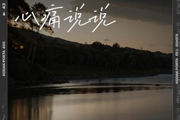 失去亲人后，梦境中的重逢是否暗示着什么