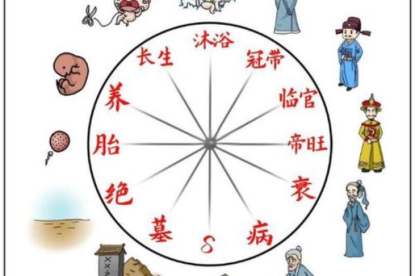 十天干与十二长生的深度解析及其关系探索