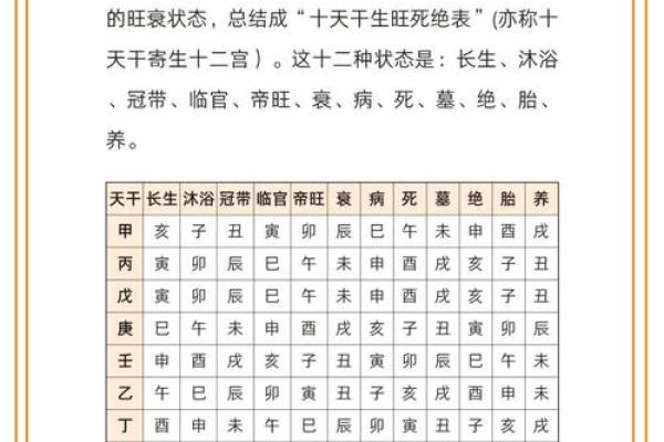 十天干与十二长生的深度解析及其关系探索