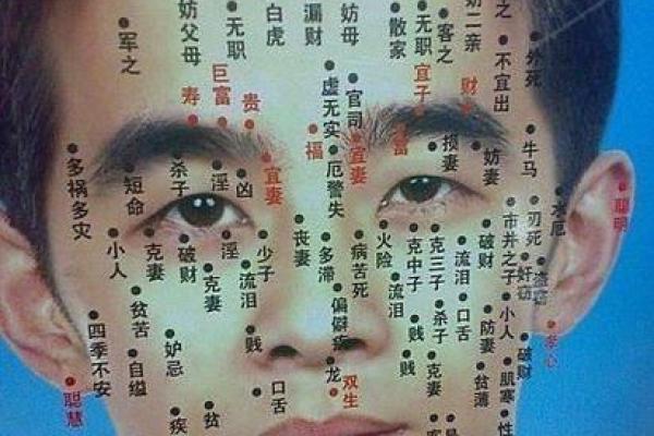 面相图解：如何通过面部特征解析性格与命运