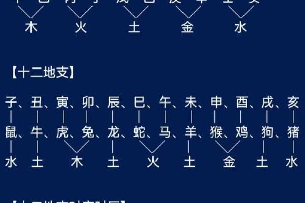 深入探讨地支与天干的相互作用及其意义